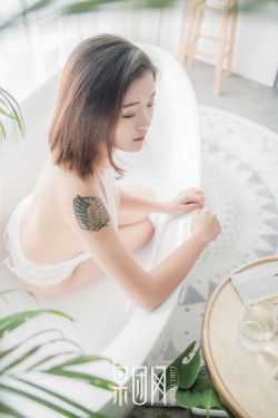 第九个寡妇免费观看电视剧